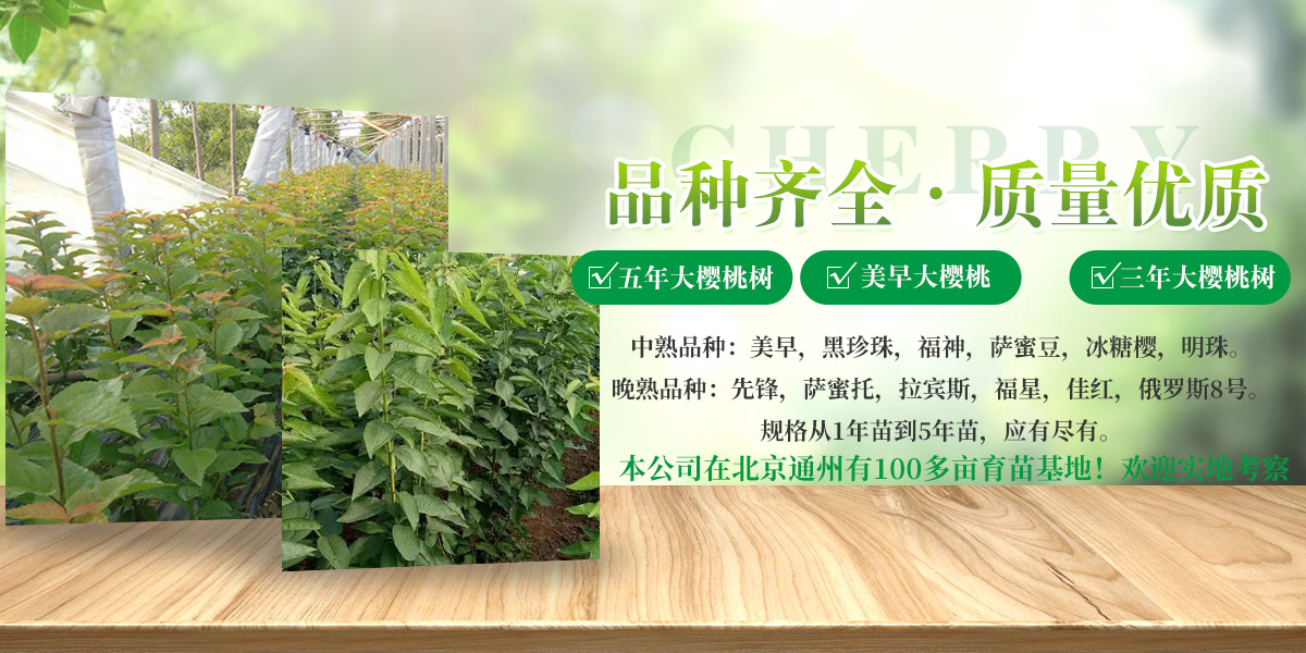 木粉機_木屑機_細粉粉碎機-鄭州裕強機械
